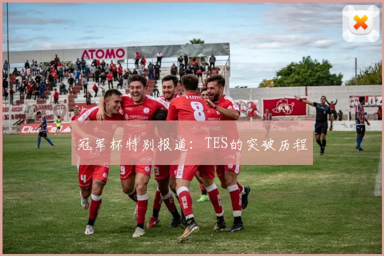 冠军杯特别报道：TES的突破历程