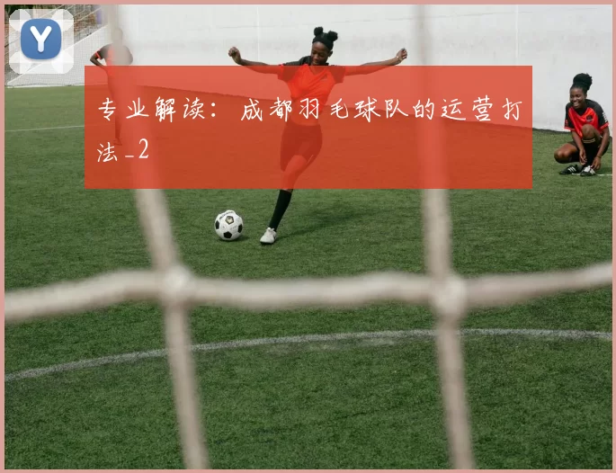 专业解读：成都羽毛球队的运营打法_2